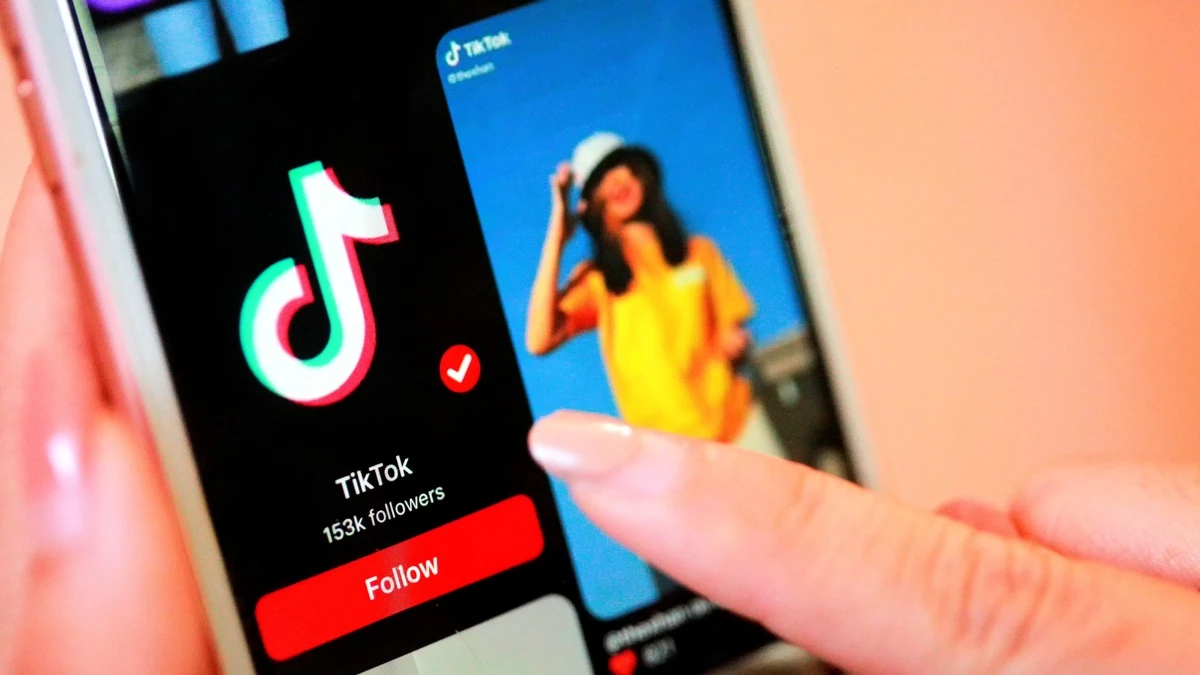The method to protect intellectual property in TikTok