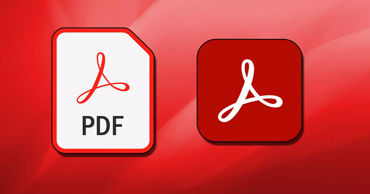 How to search terms in a PDF file