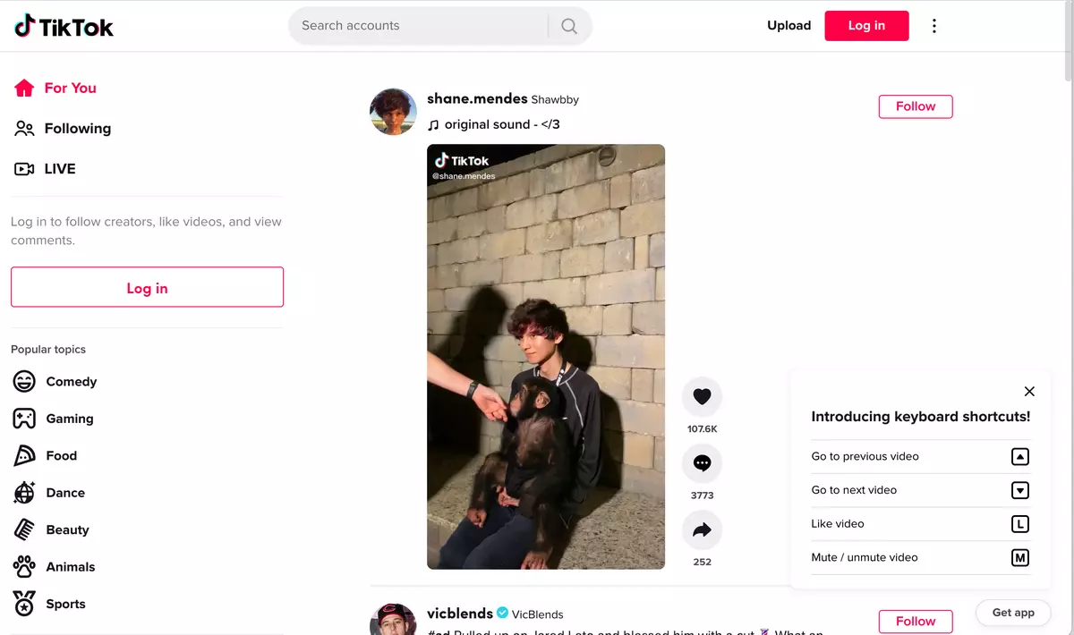 TikTok past video and how to watch it