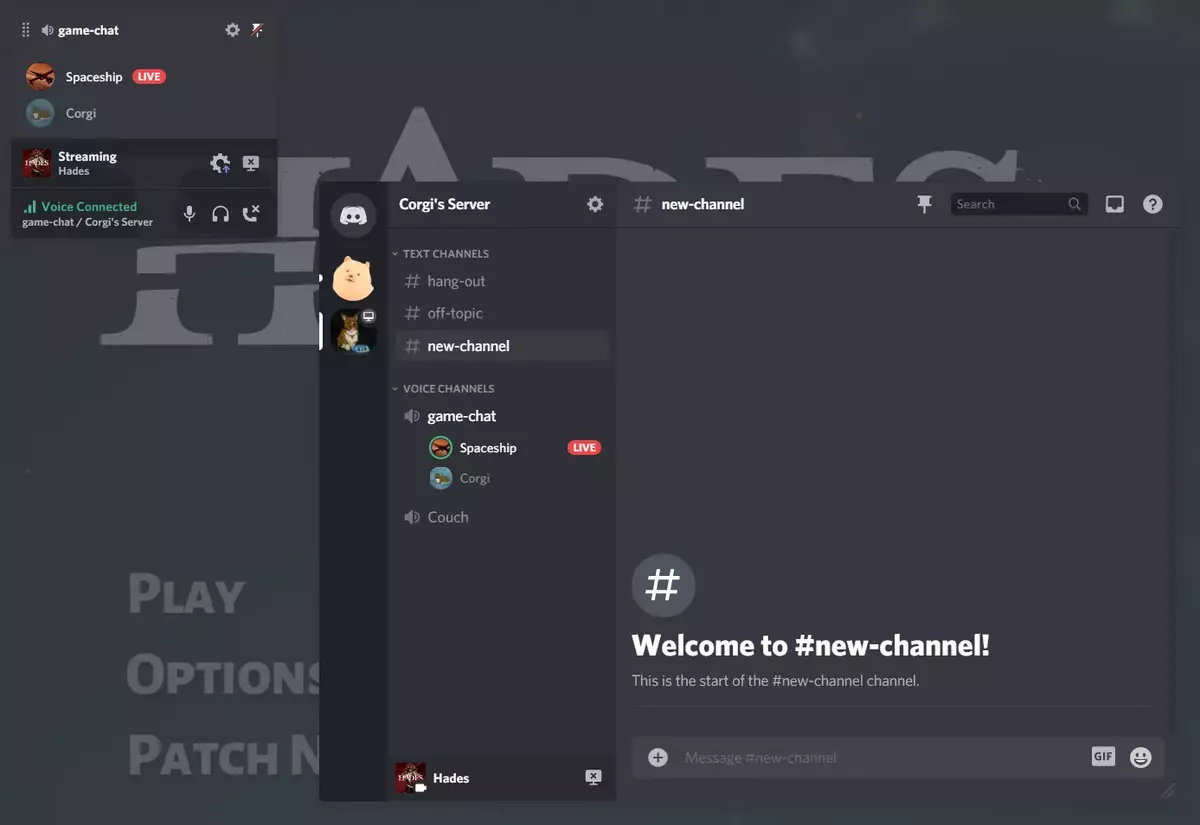 How to share Discord screen in PC and mobile devices