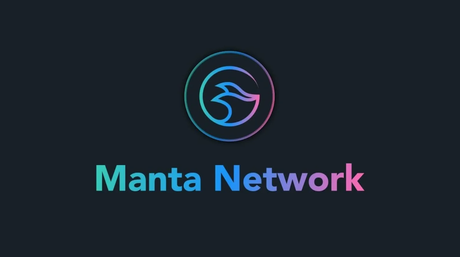 manta network zero-knowledge