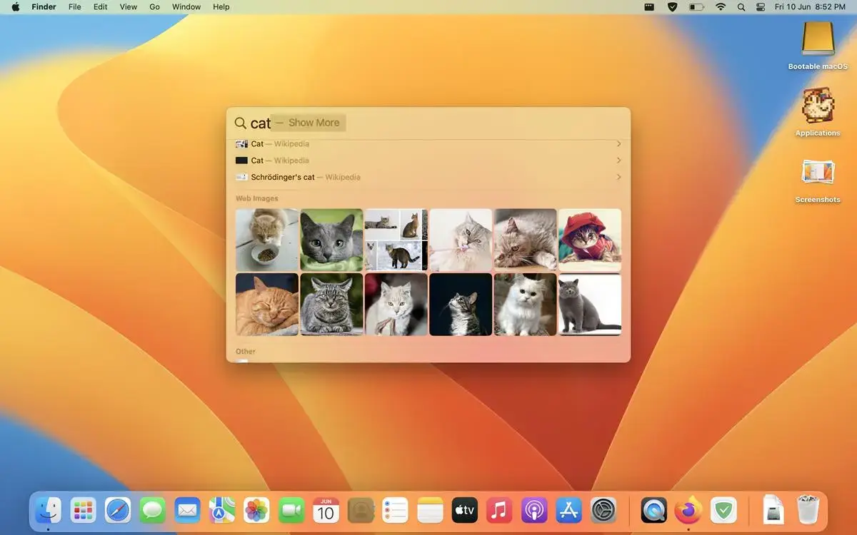 The Spotlight feature in macOS