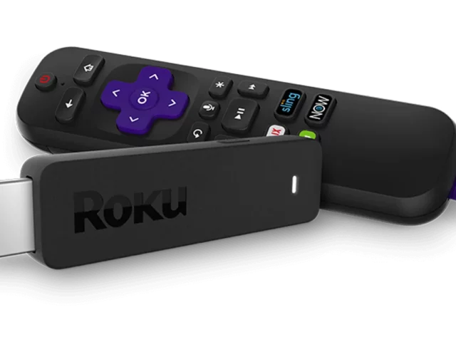 Compatible voice assistants with Roku device