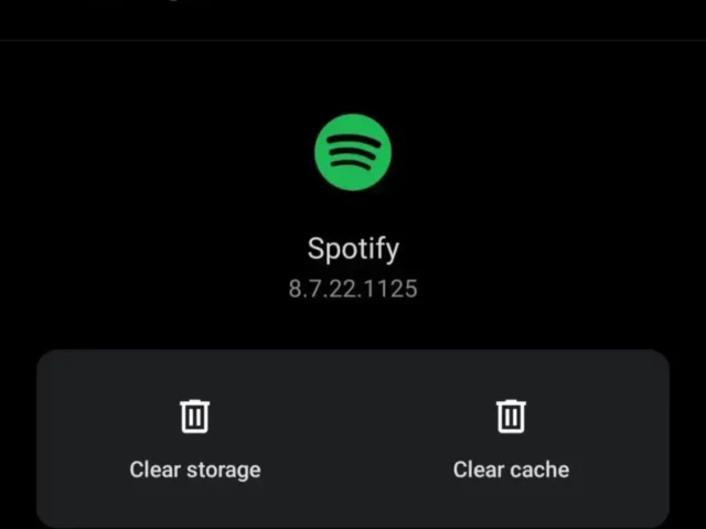 Why does Spotify pauses?