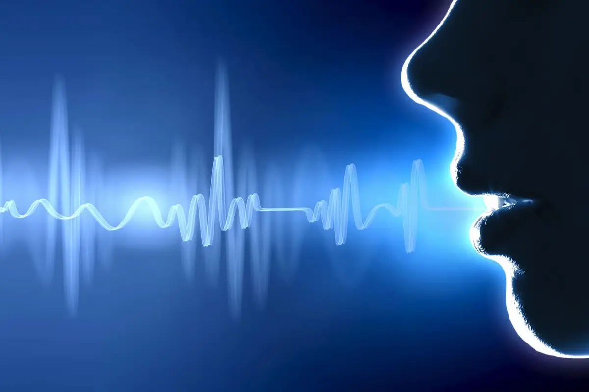 The risks of Voice Hacking