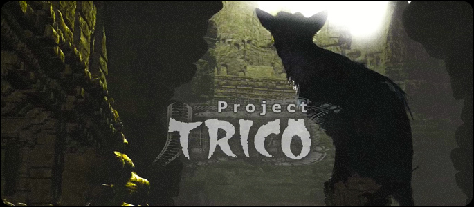 Project Trico