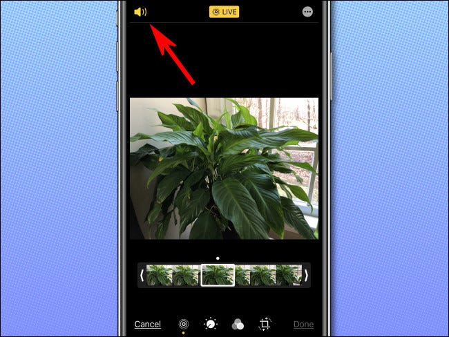 Presionar en el icono del audio para eliminar el sonido de la Live Photo