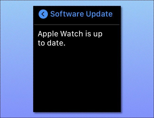 Apple Watch se encuentra actualizado.