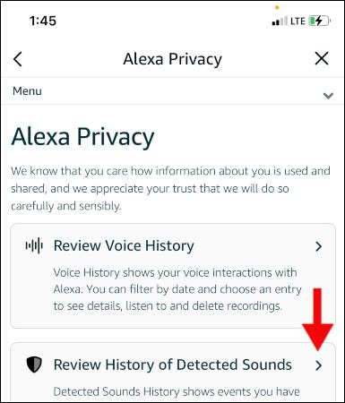 Historial de voz de Alexa.