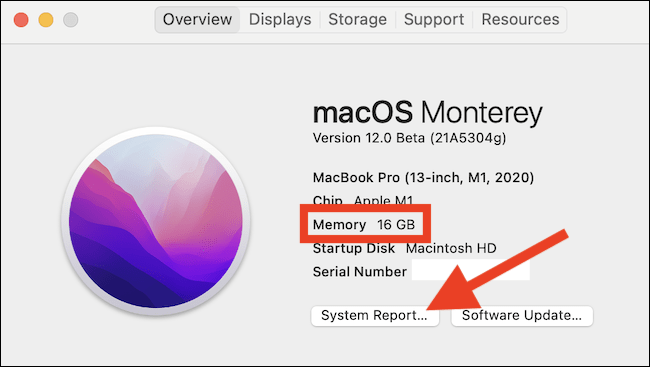 De esta forma sabemos cuánta RAM tiene MacOS.