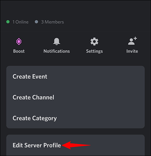 Editar perfil del servidor.