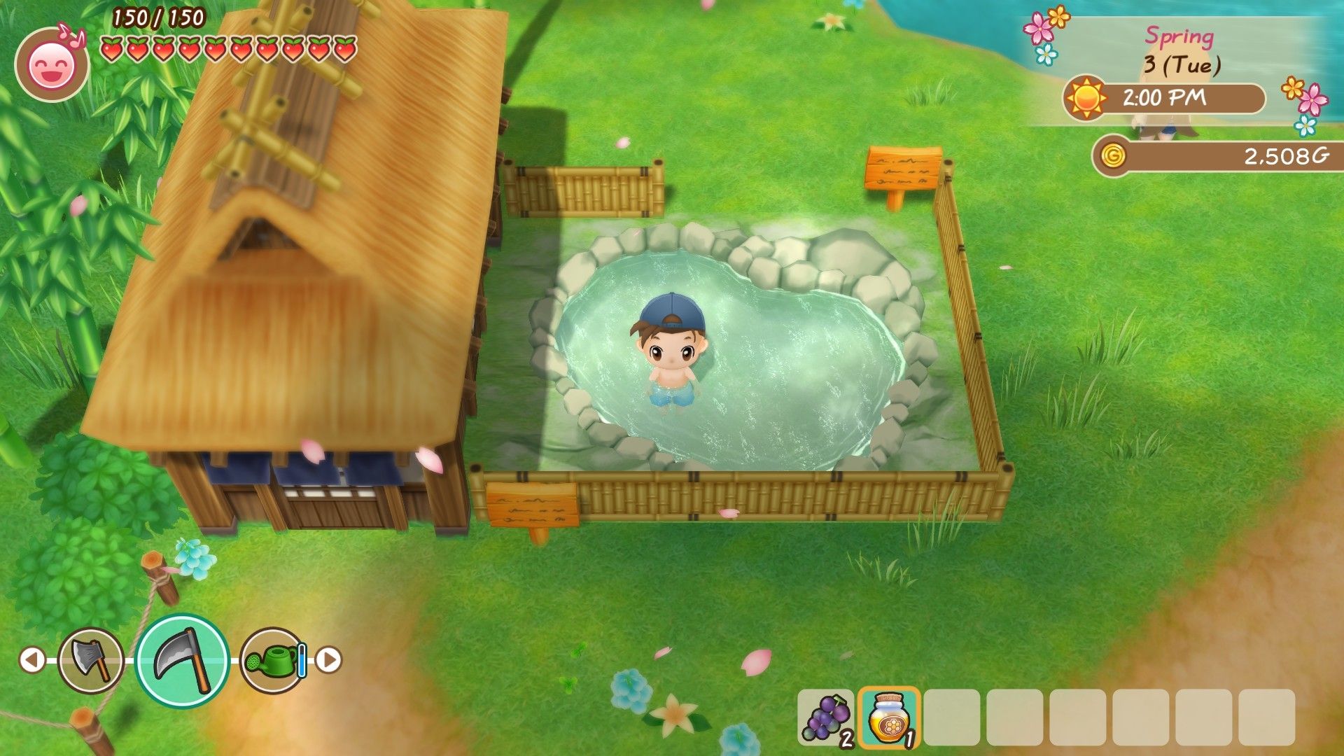 Los mejores trucos para Story of Seasons Friends of Mineral Town