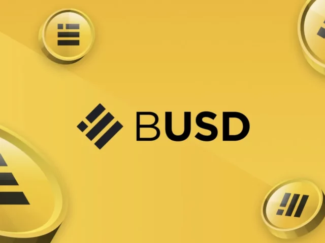 Binance añade su moneda estable BUSD en las redes Avalanche y Polygon