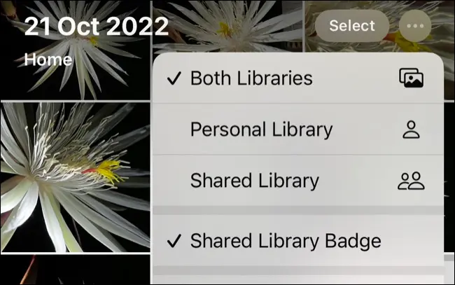 Cambiar entre biblioteca de fotos compartida de iCloud en iPhone y iPad.