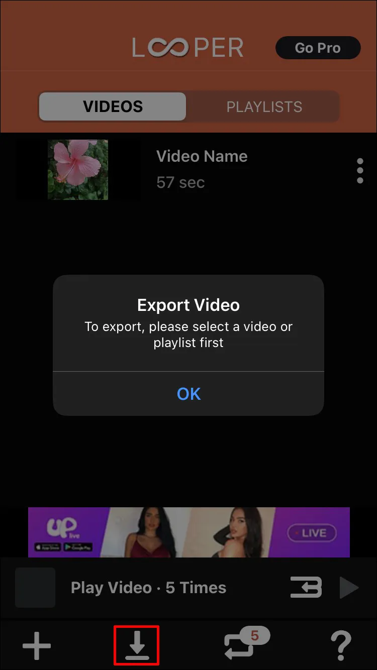 Exportar vídeo.