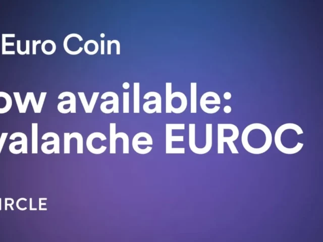 Circle lanza la nueva moneda estable Euro Coin en Avalanche Network