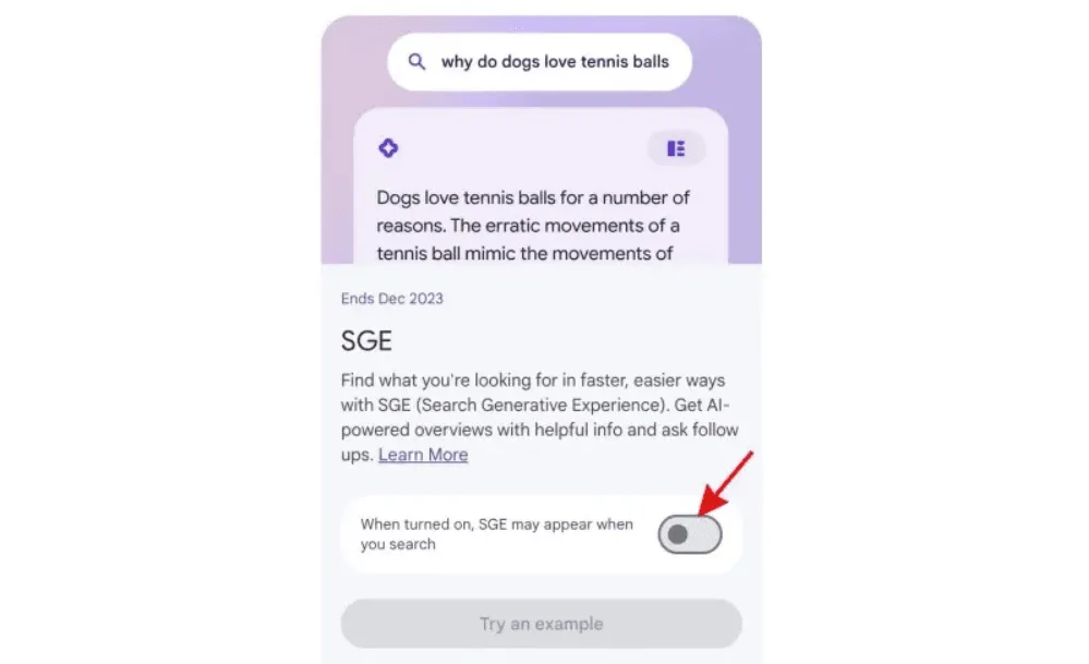 Activar Google SGE (Search Generative Experience)
