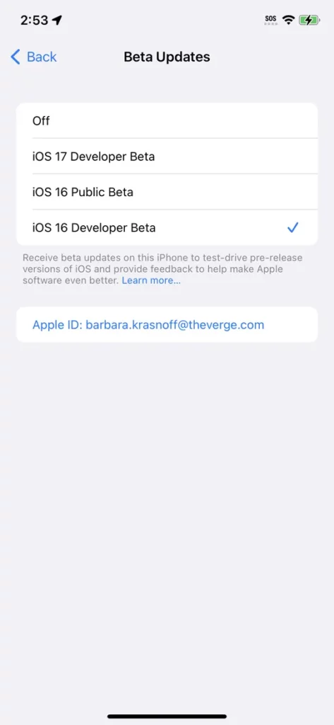 instalar beta iOS 17 2