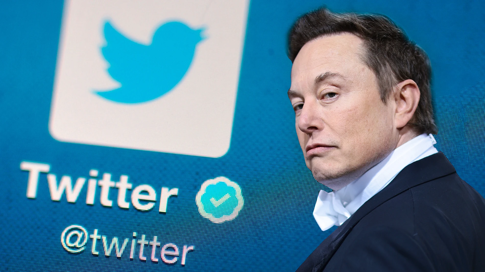 Elon Musk Twitter sufre caída significativa en ingresos publicitarios