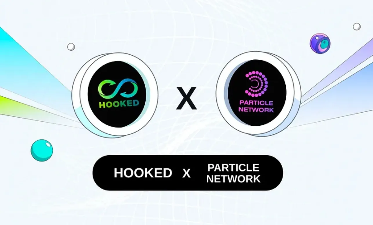 Hooked Protocol Particle Network
