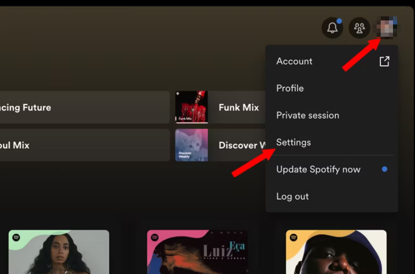 Eliminar caché de Spotify en Windows y macOS