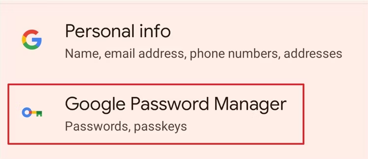 Google Password Manager.