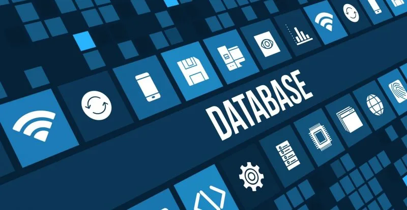 bases de datos y SQL son los pilares del desarrollo de las aplicaciones