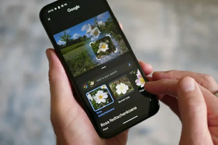 Samsung Galaxy AI 3