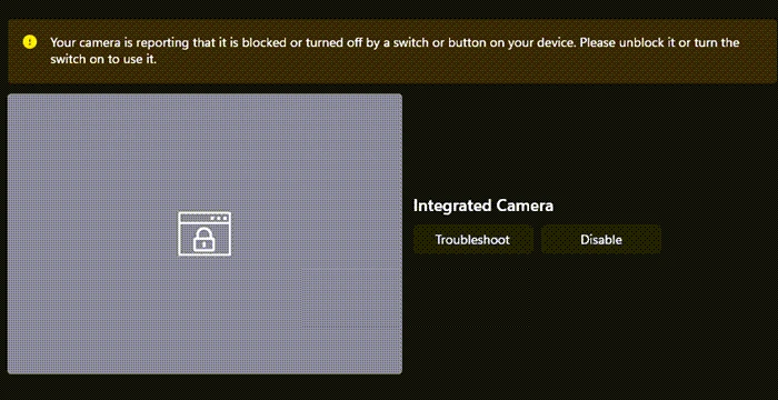 cámara bloqueada o apagada en Windows 11 2