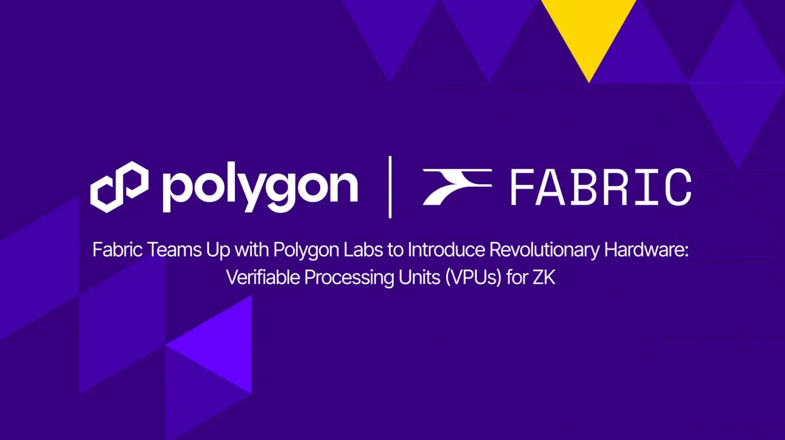 polygon vpu